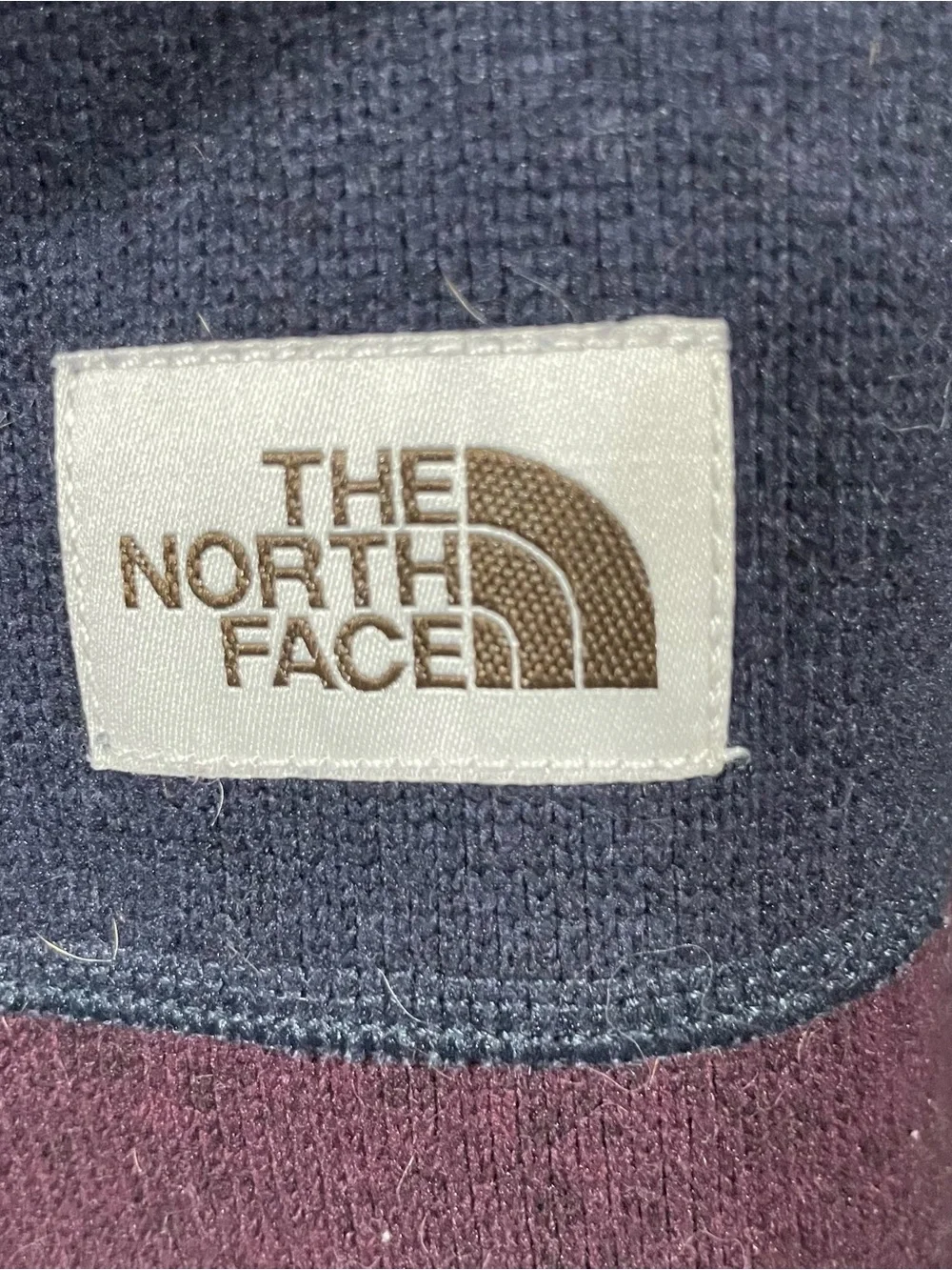 The North Face Men's Half-Zip Fleece in Plum and Navy